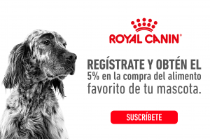 Croquetas Royal Canin 